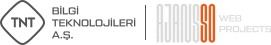Ajansso Web Solutions
